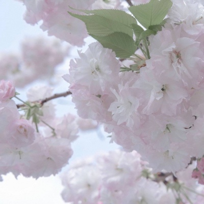 禄丰福瑞交流群